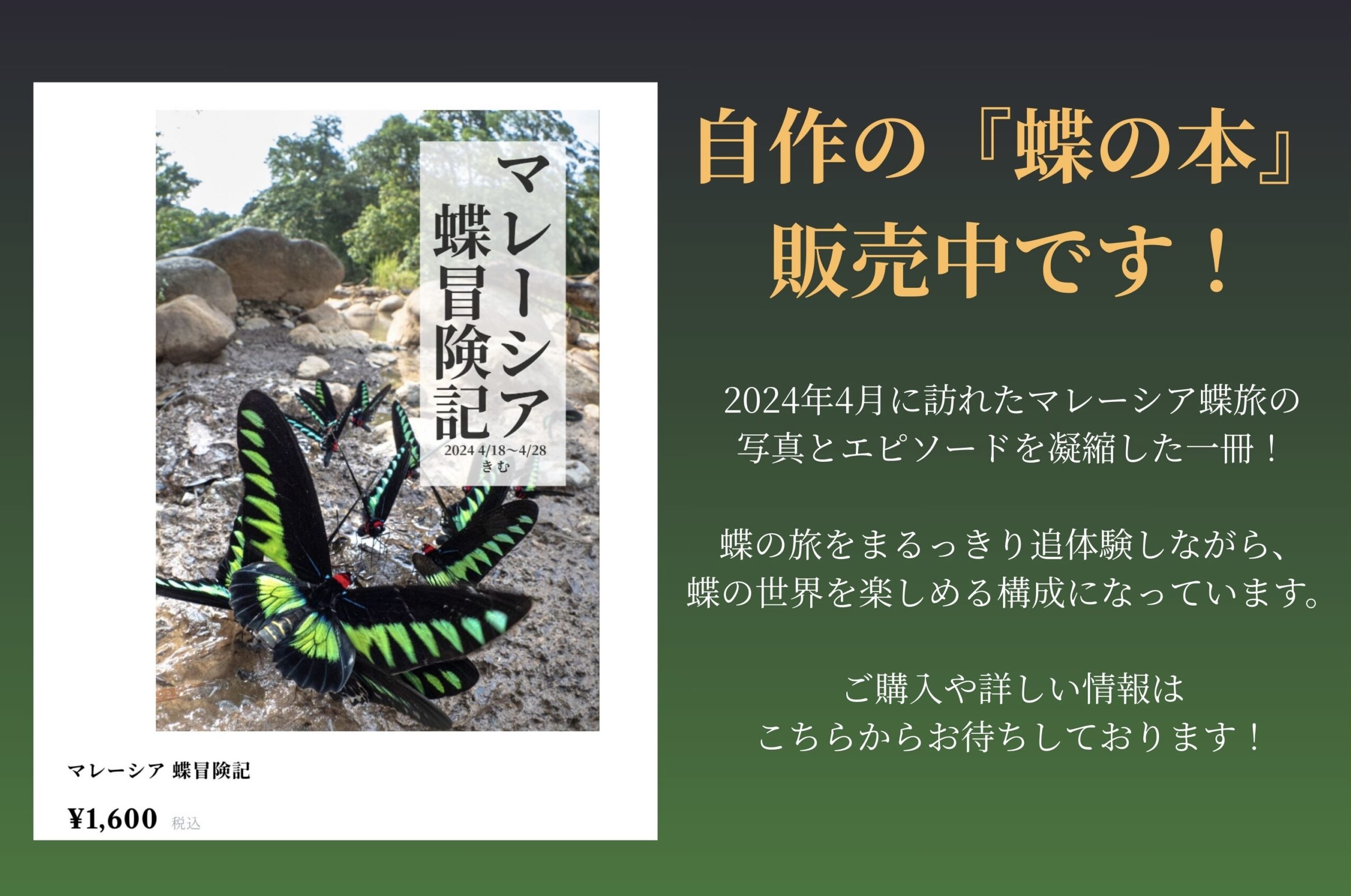 蝶の本-蝶冒険記