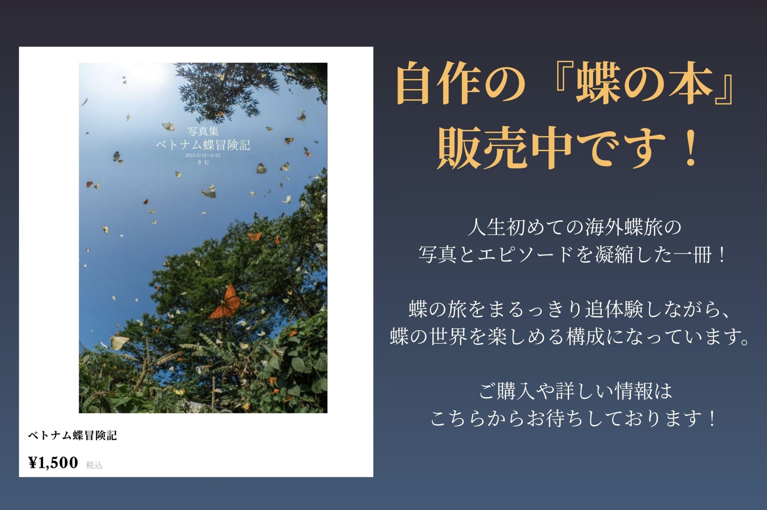 蝶の本-蝶冒険記