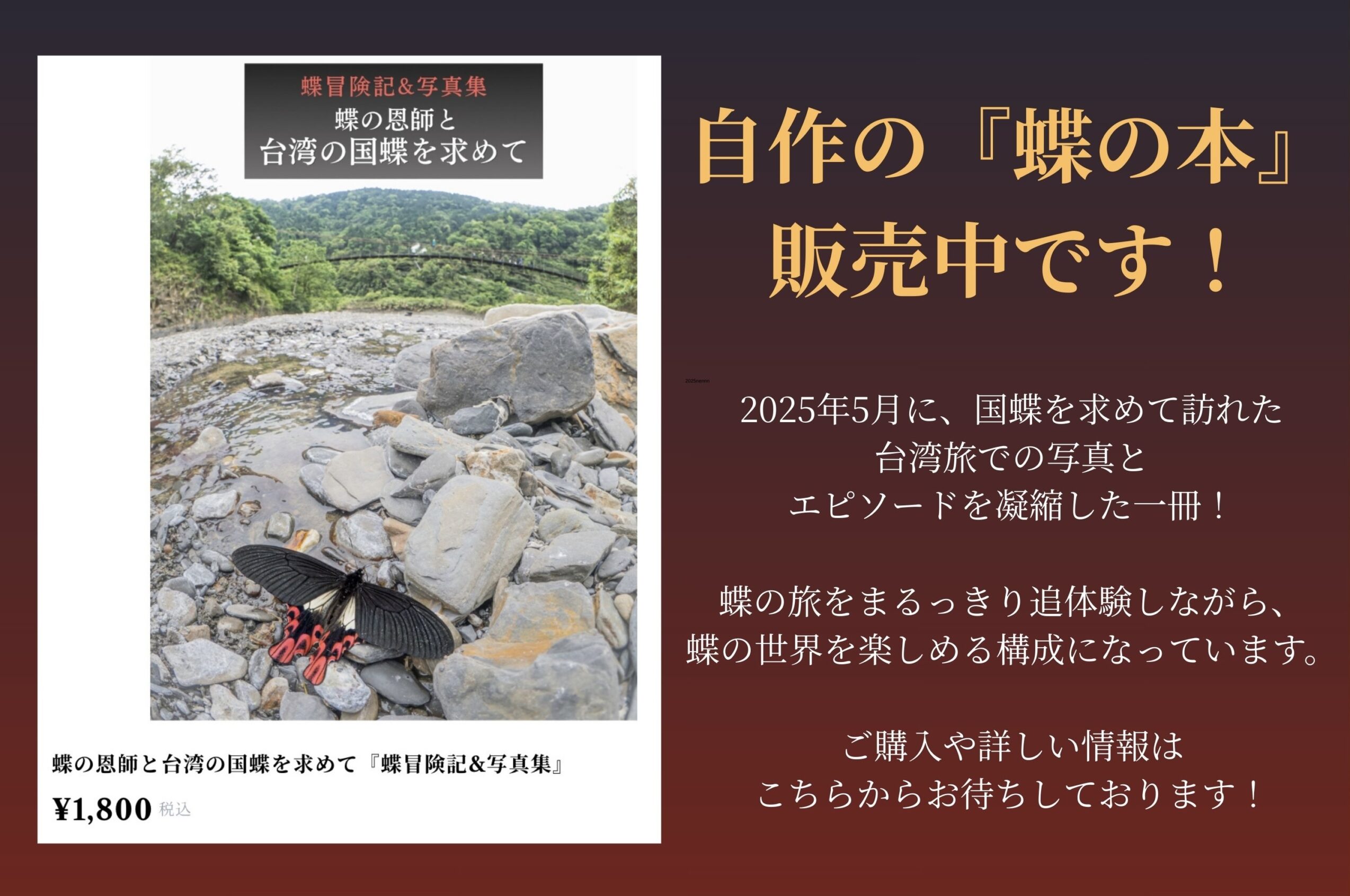 蝶の本-蝶冒険記