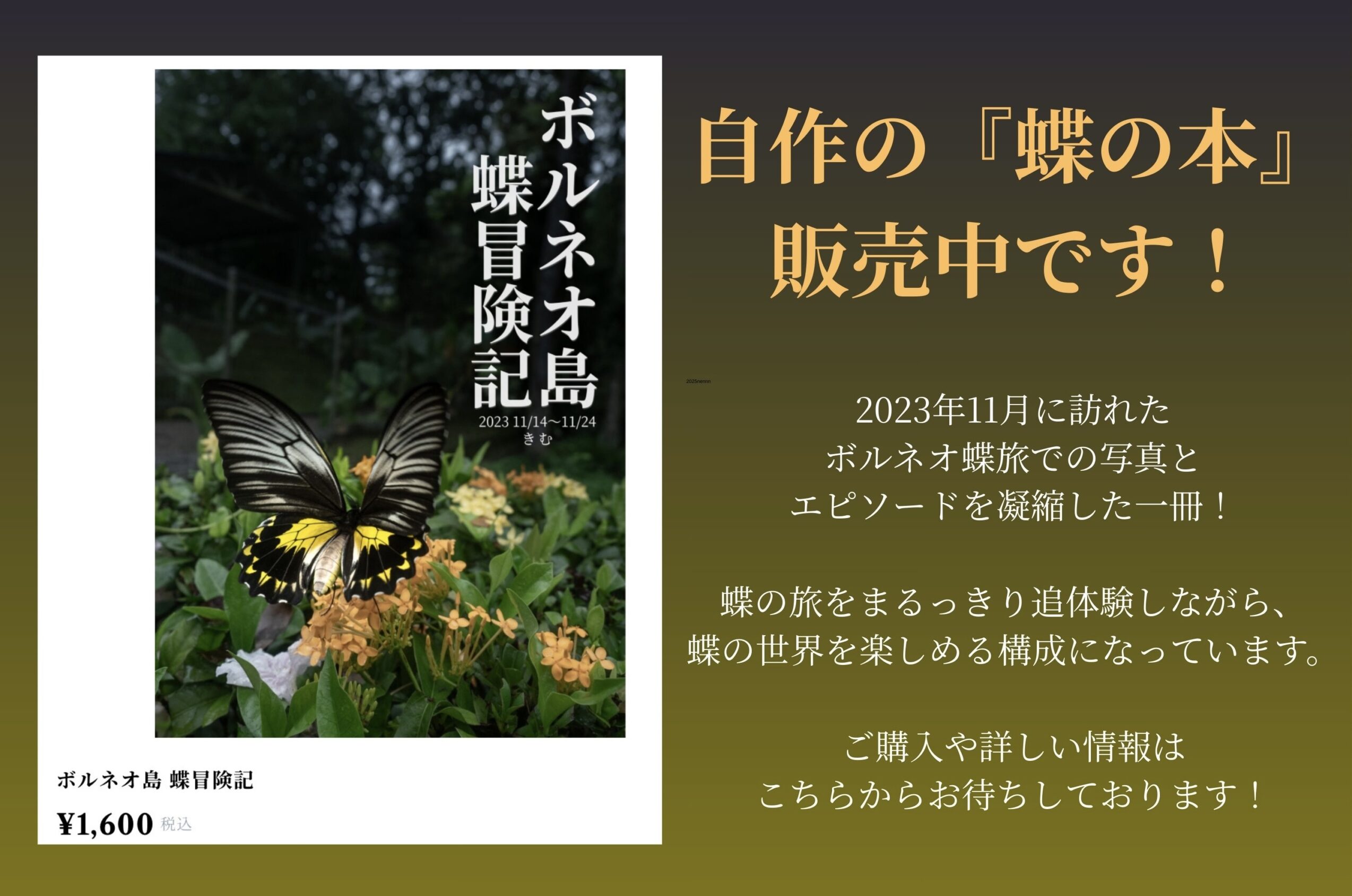 蝶の本-蝶冒険記