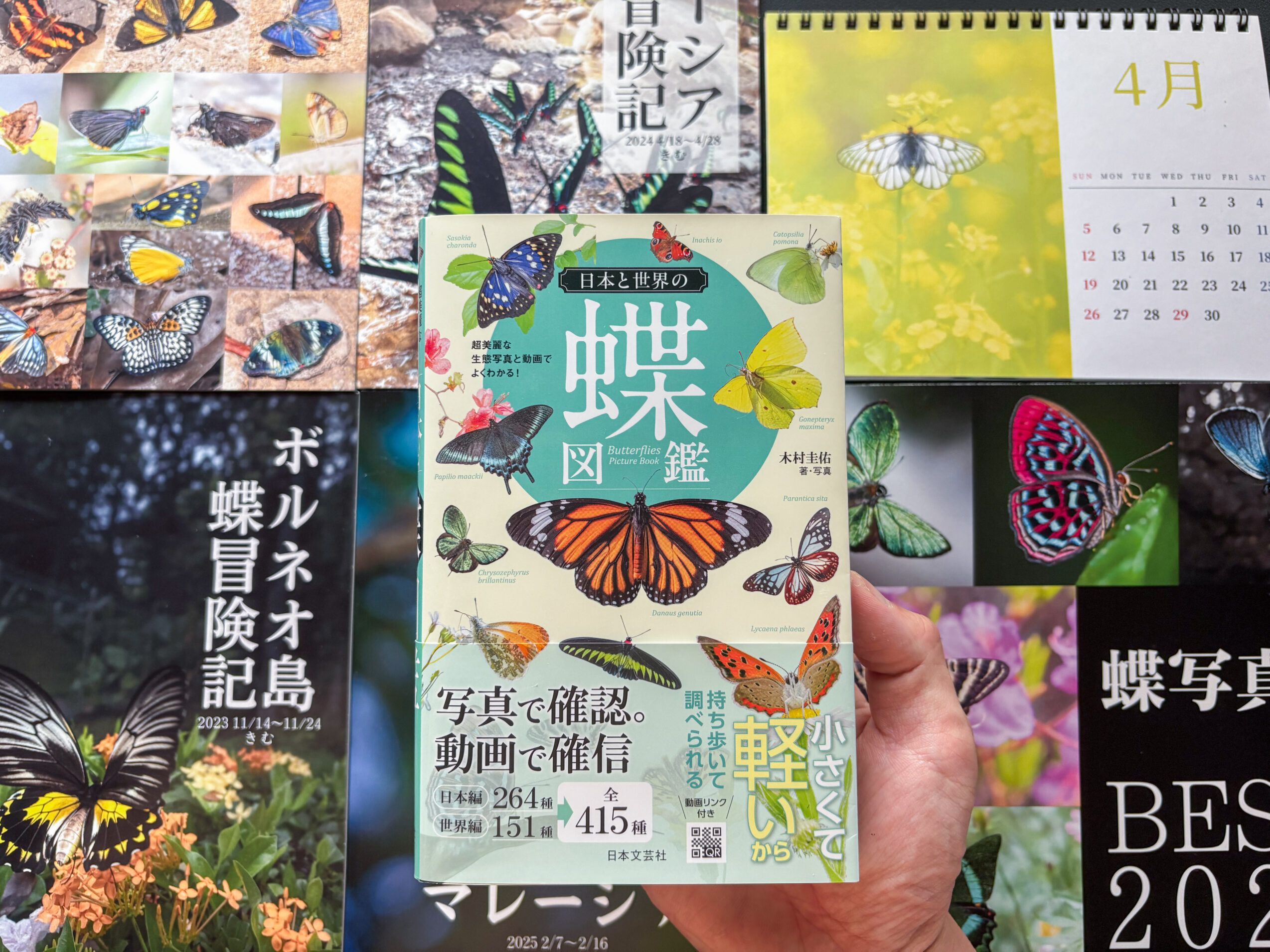 木村圭佑　蝶　作品　カレンダー　写真集