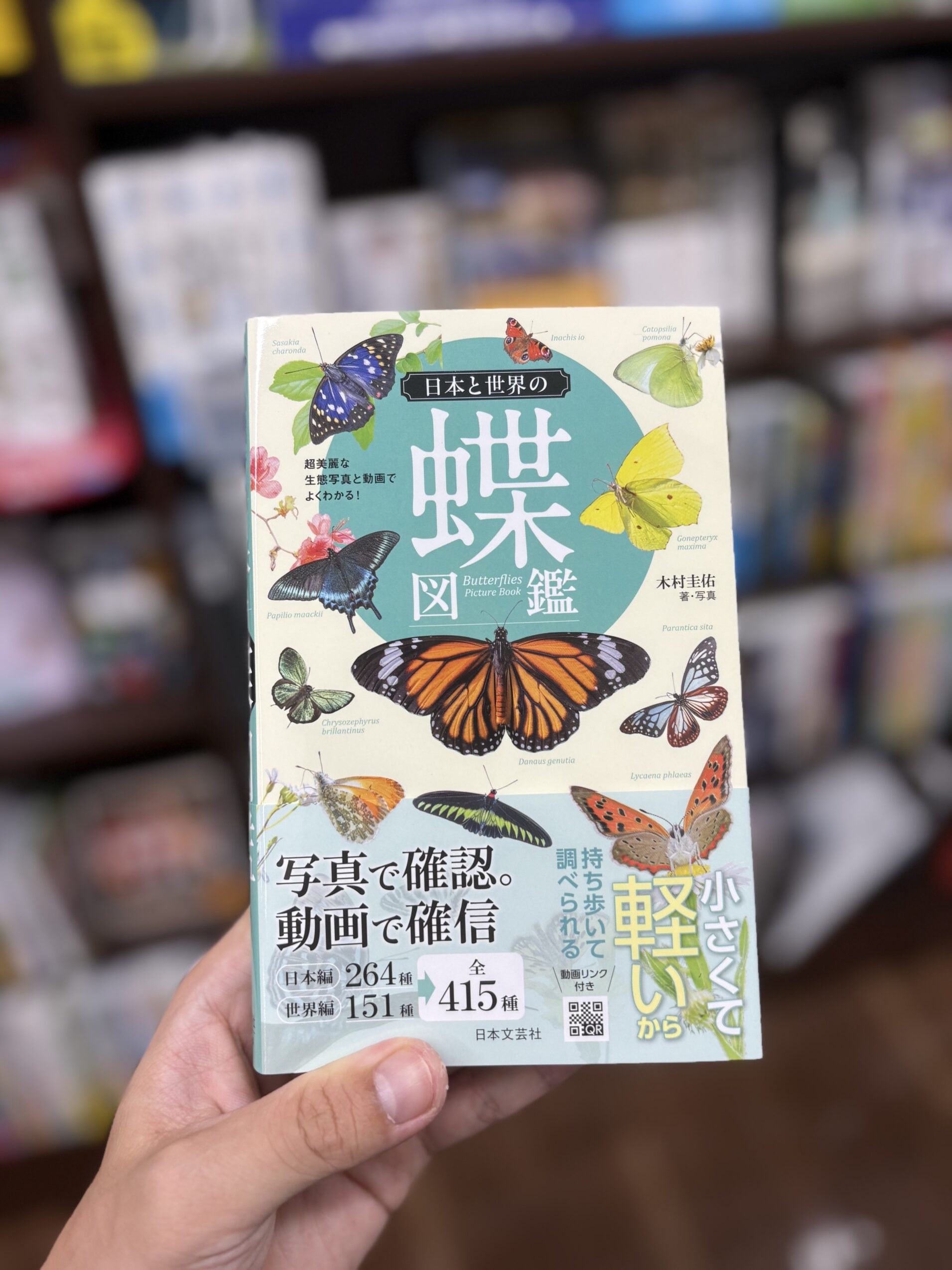 日本と世界の蝶図鑑が出版されて、書店で手に取った。