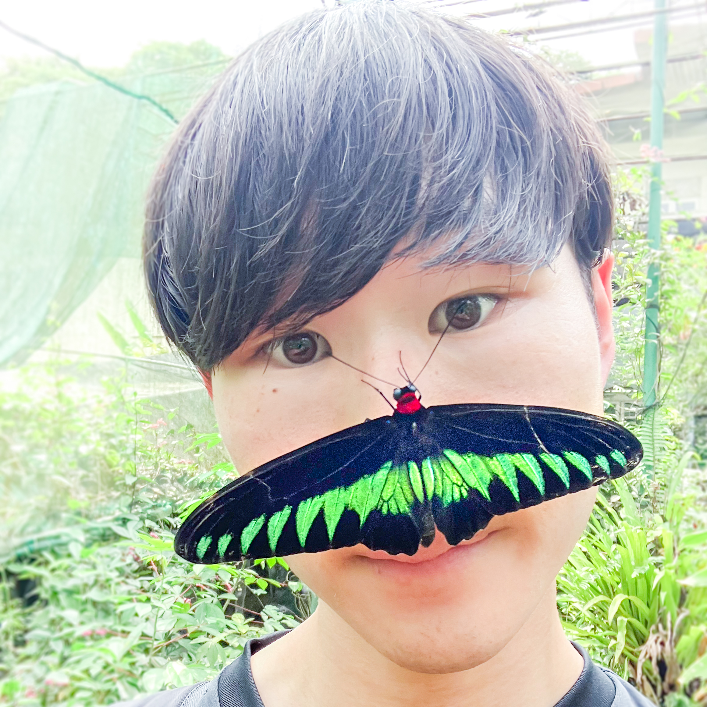 き むのアバター