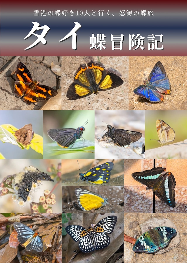 蝶の本