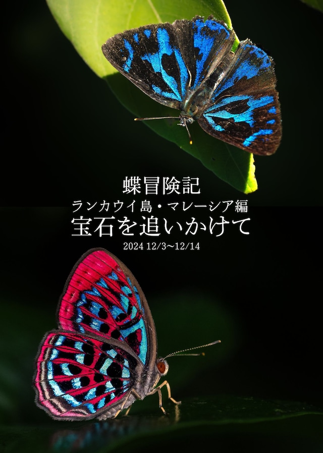 蝶の本