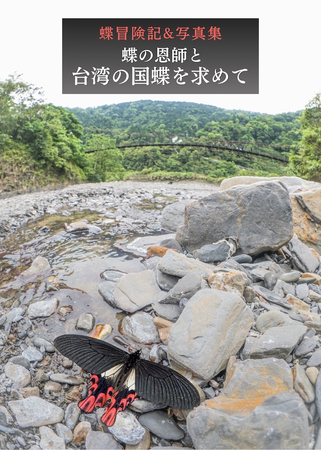蝶の本