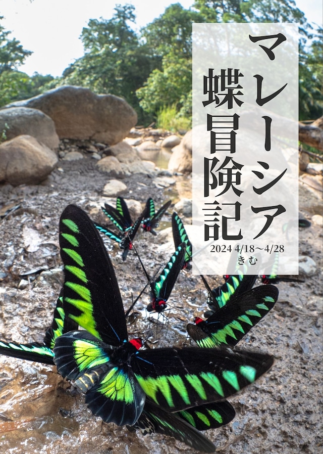 蝶の本