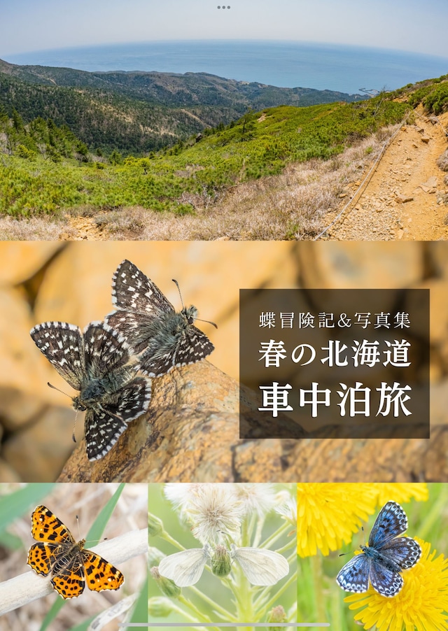 蝶の本