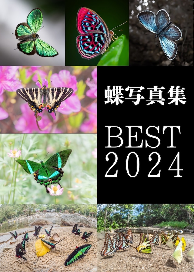 蝶の本