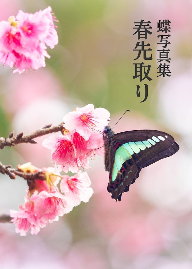 蝶の本