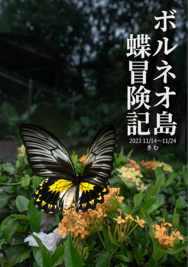 蝶の本