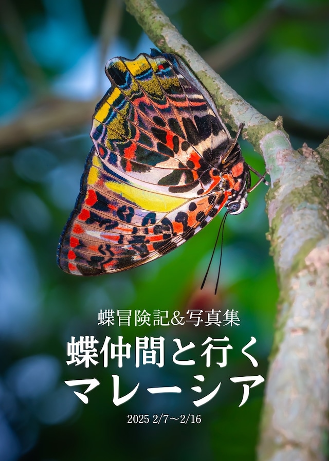 蝶の本